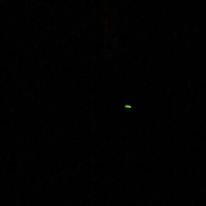 Meet your Posher, Jerry